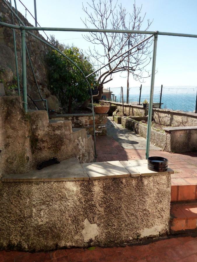 Casa Picasso Apartment Genova Exterior foto